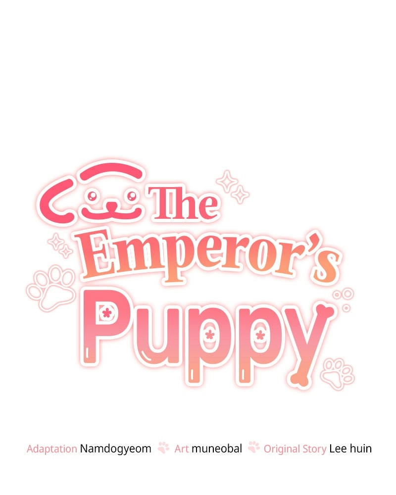 Read The Emperor