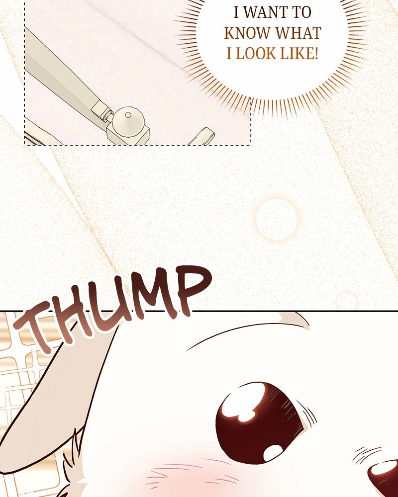 Read The Emperor