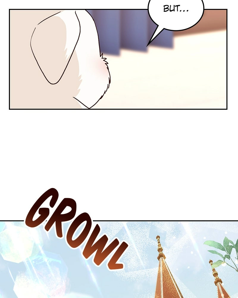 Read The Emperor