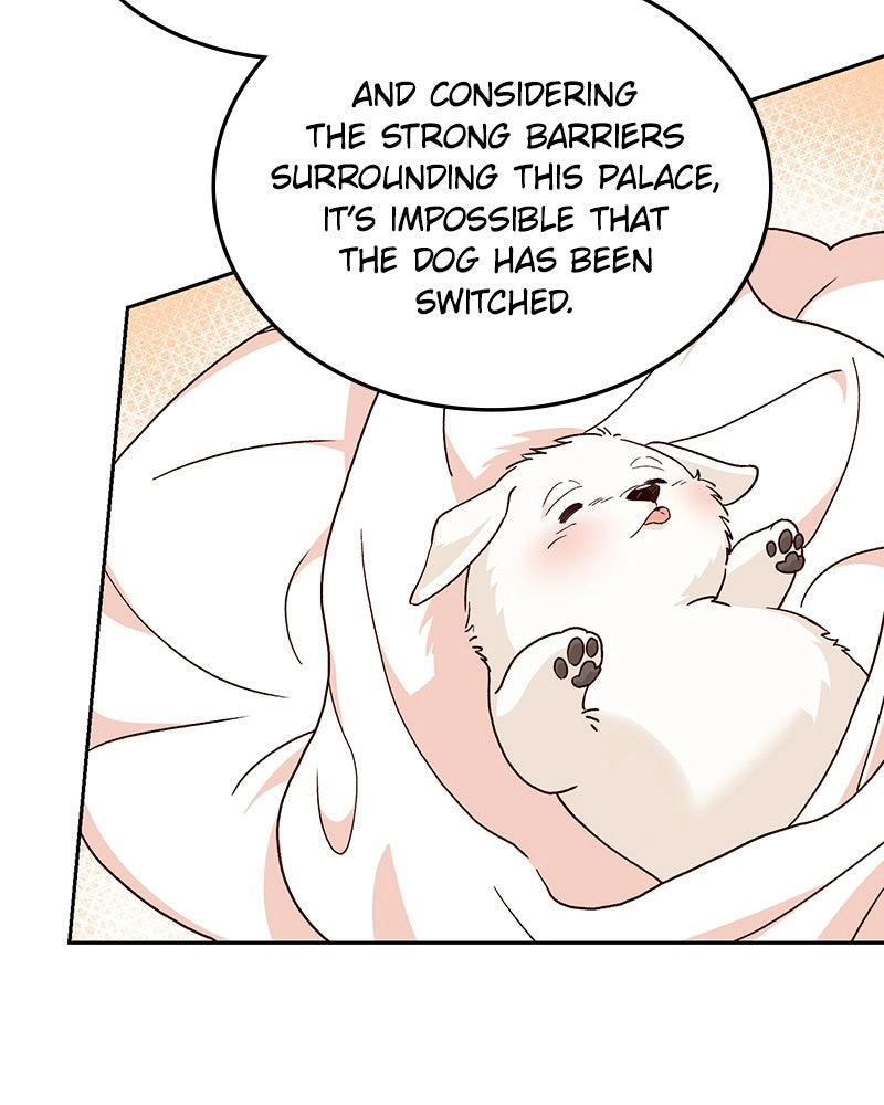 Read The Emperor