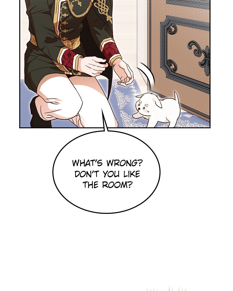 Read The Emperor