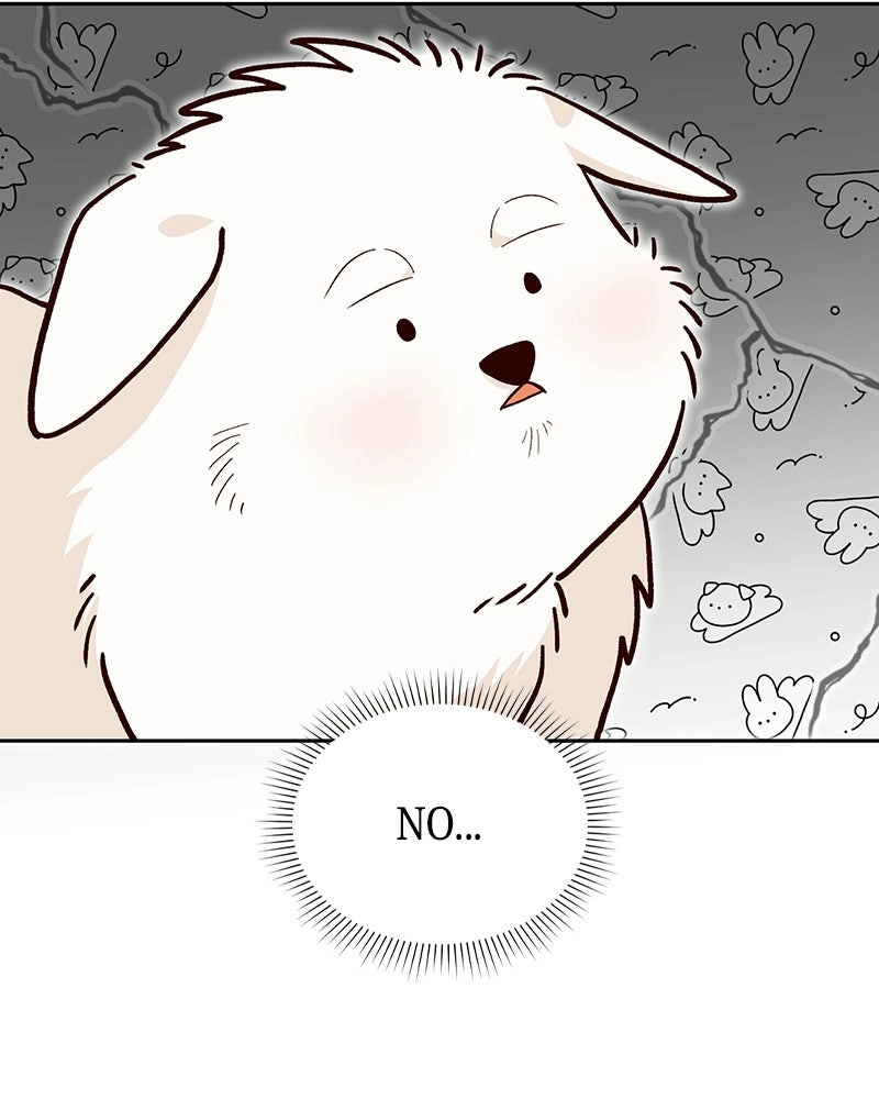 Read The Emperor