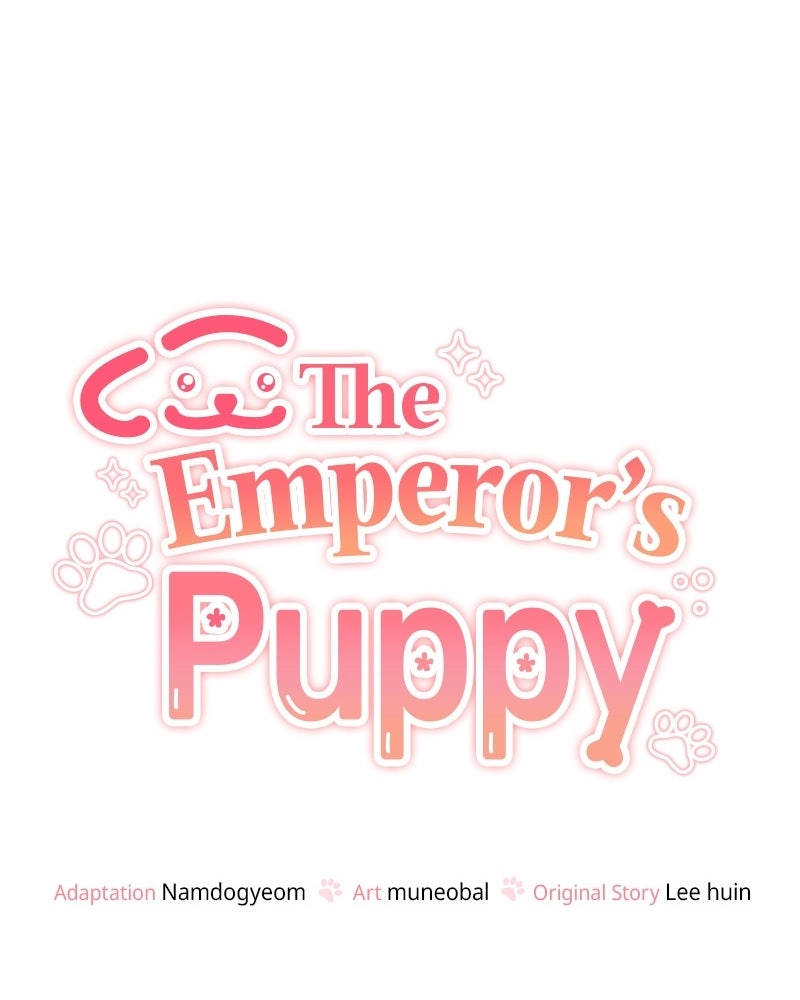 Read The Emperor