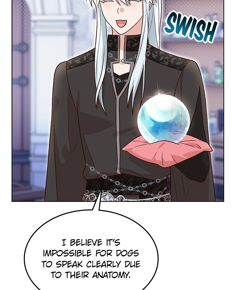 Read The Emperor