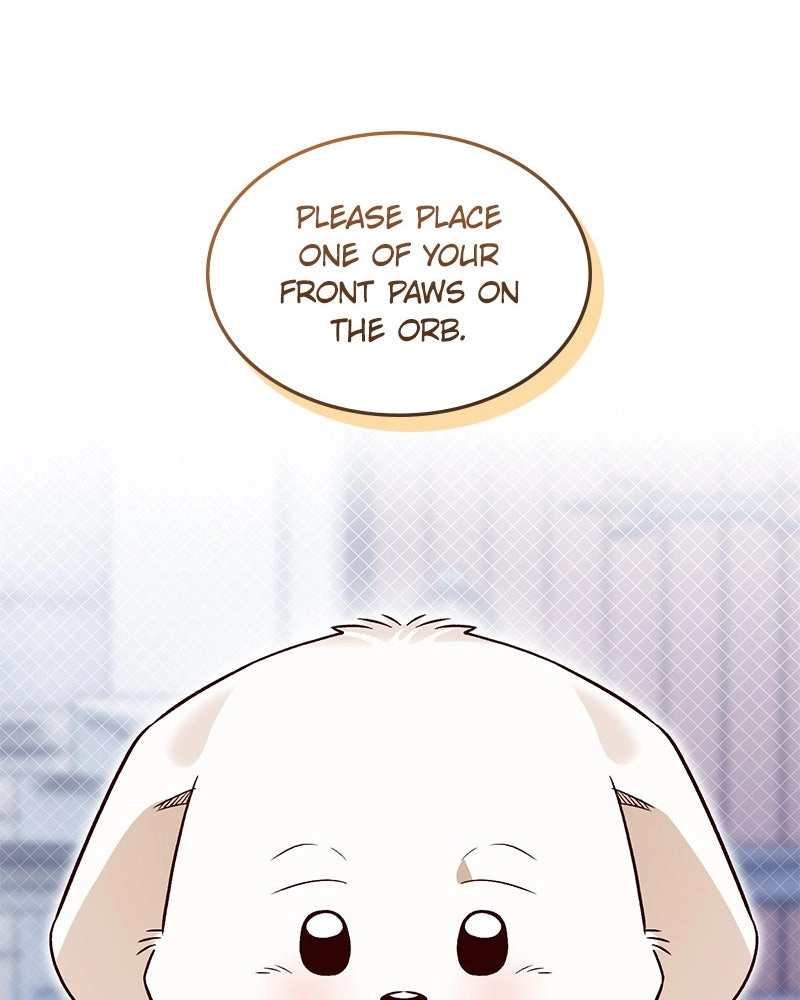 Read The Emperor