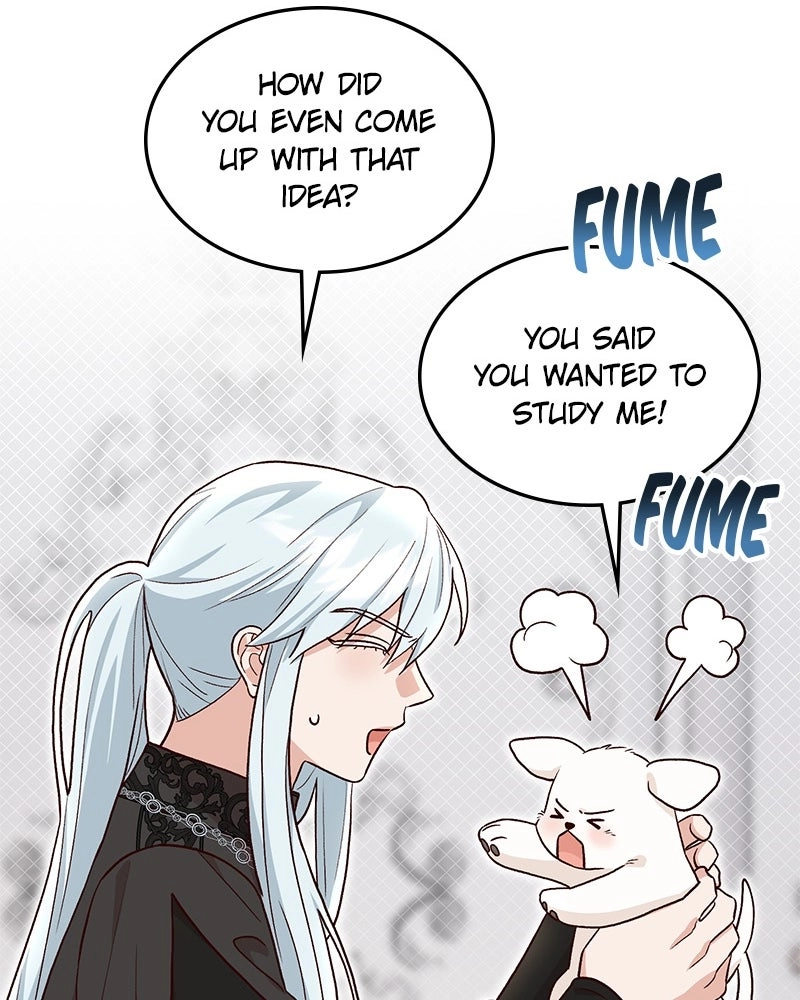 Read The Emperor