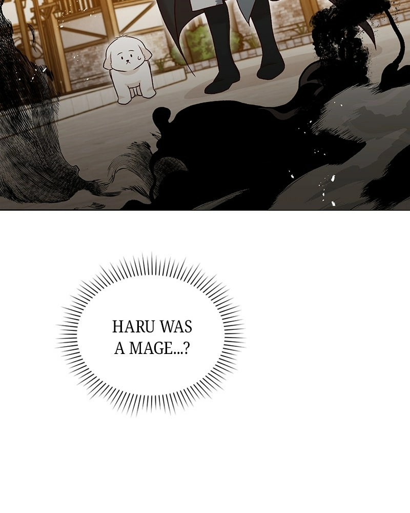 Read The Emperor