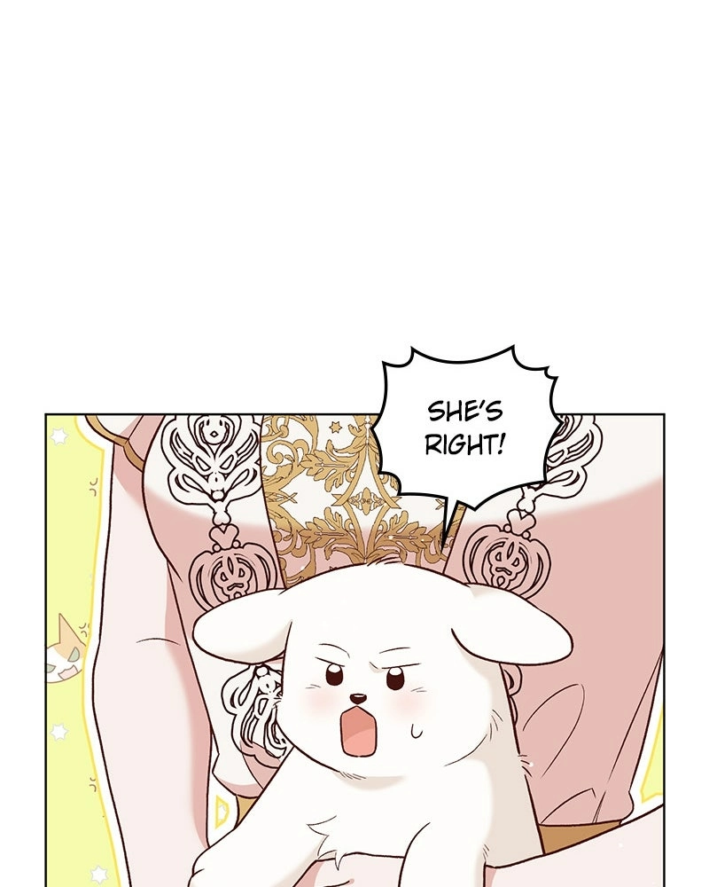 Read The Emperor