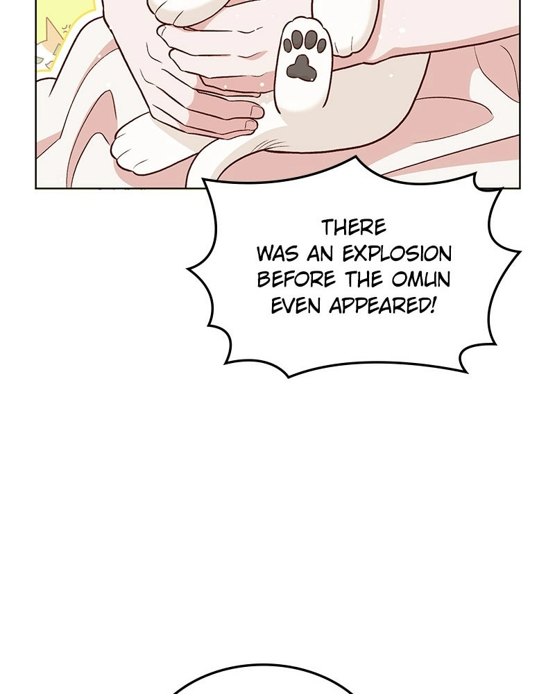 Read The Emperor