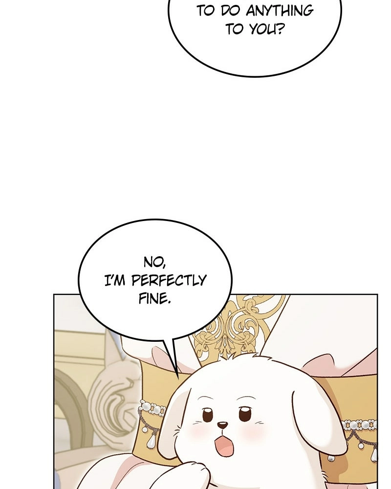 Read The Emperor