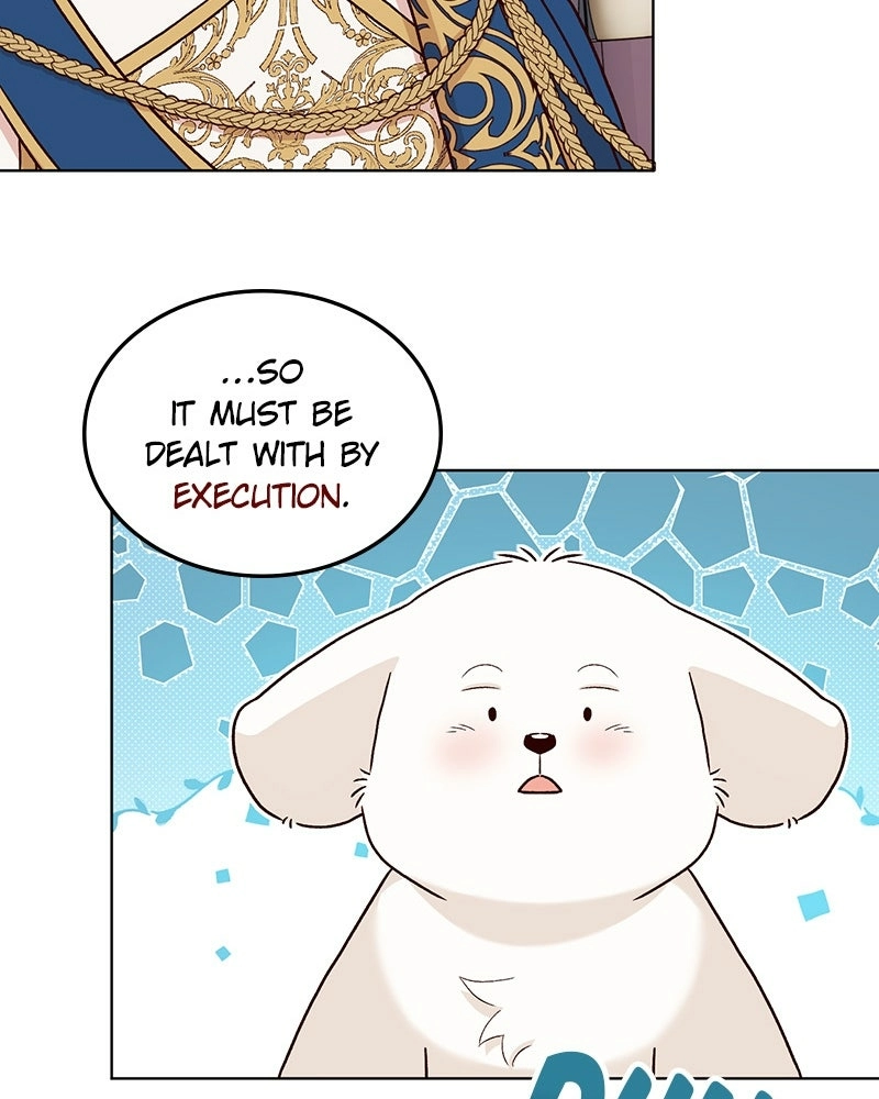 Read The Emperor