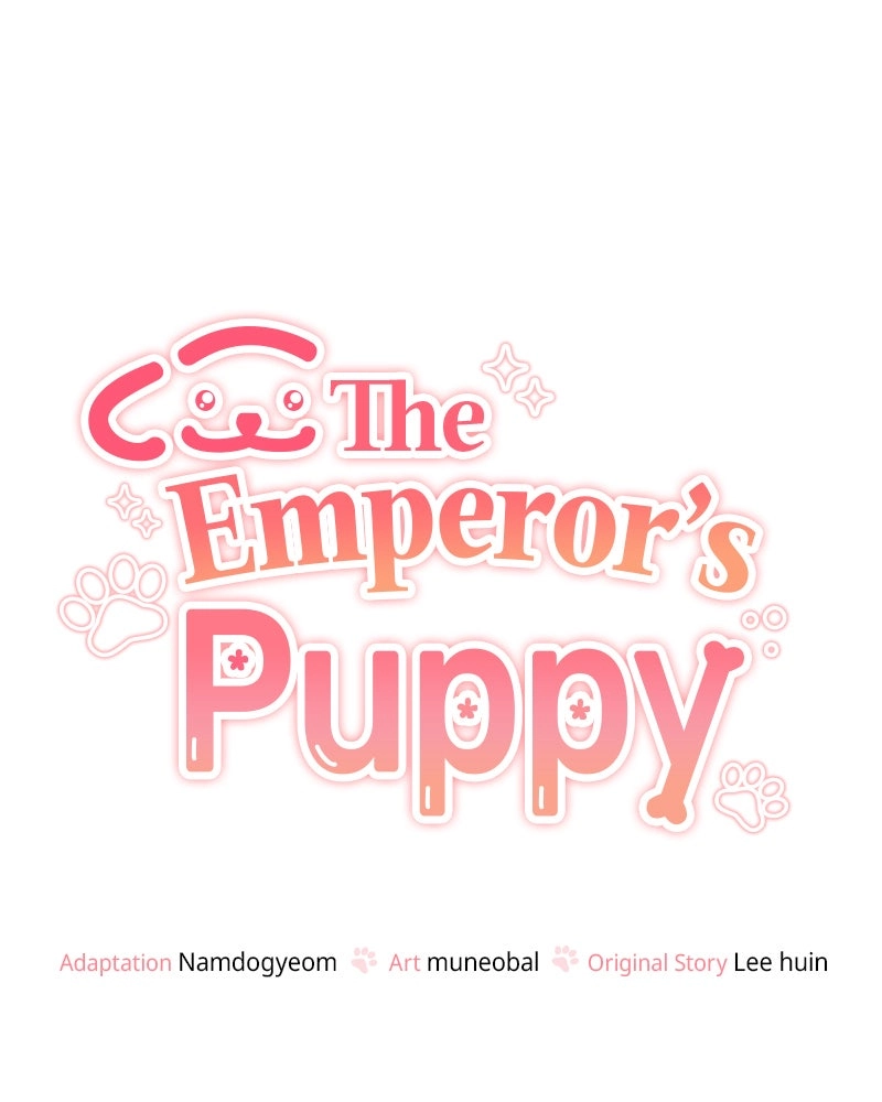 Read The Emperor