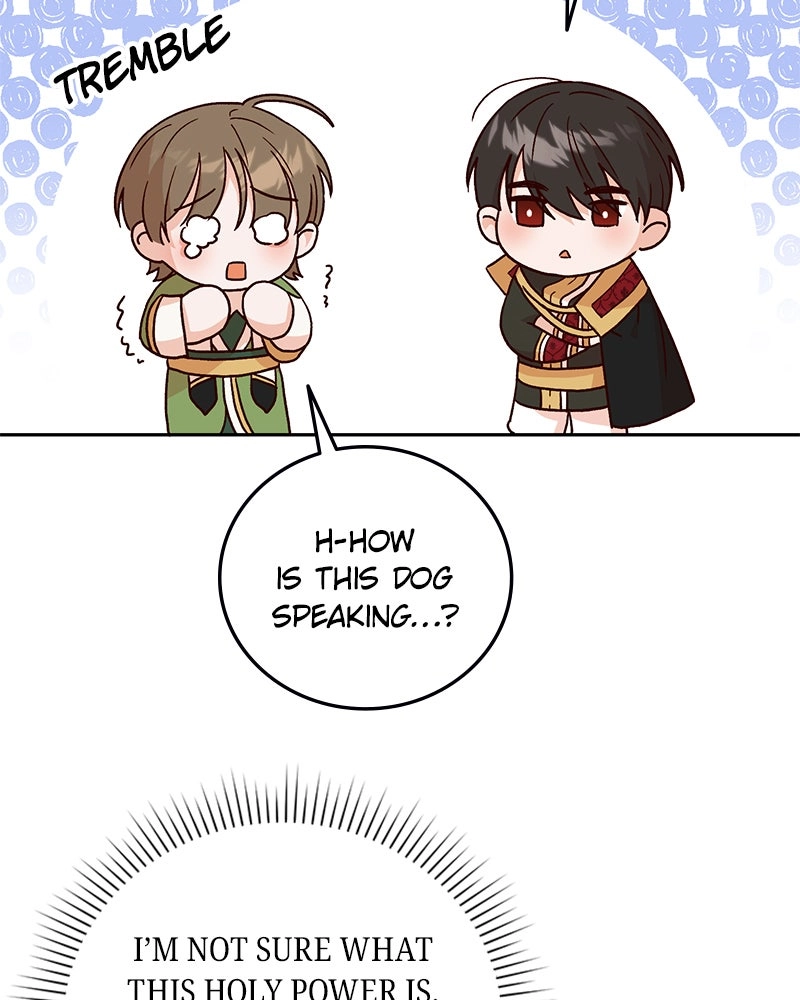 Read The Emperor