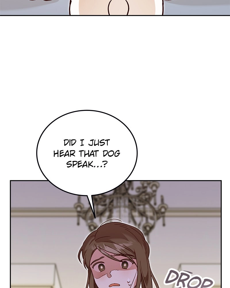 Read The Emperor