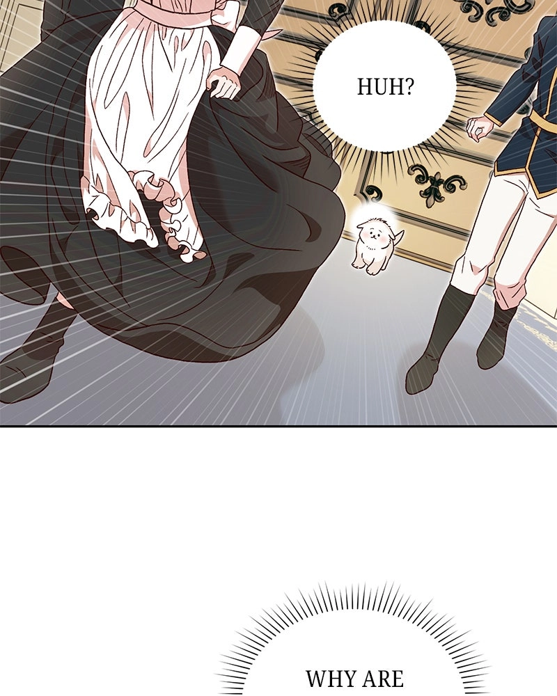 Read The Emperor
