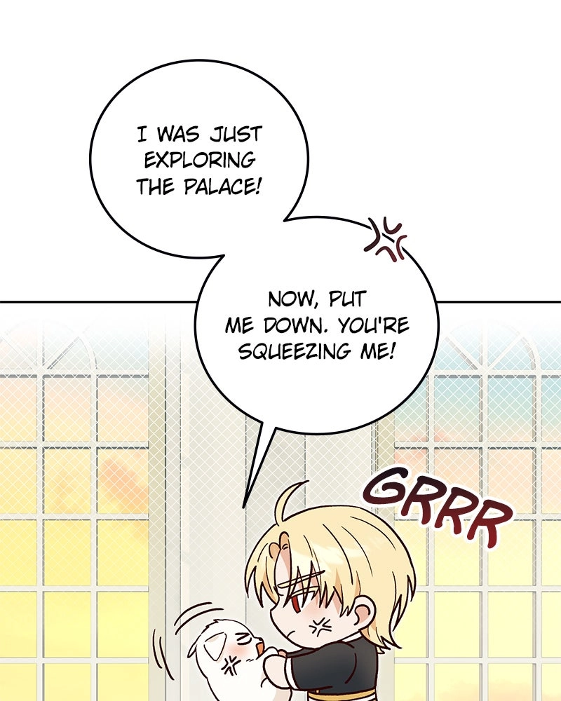 Read The Emperor