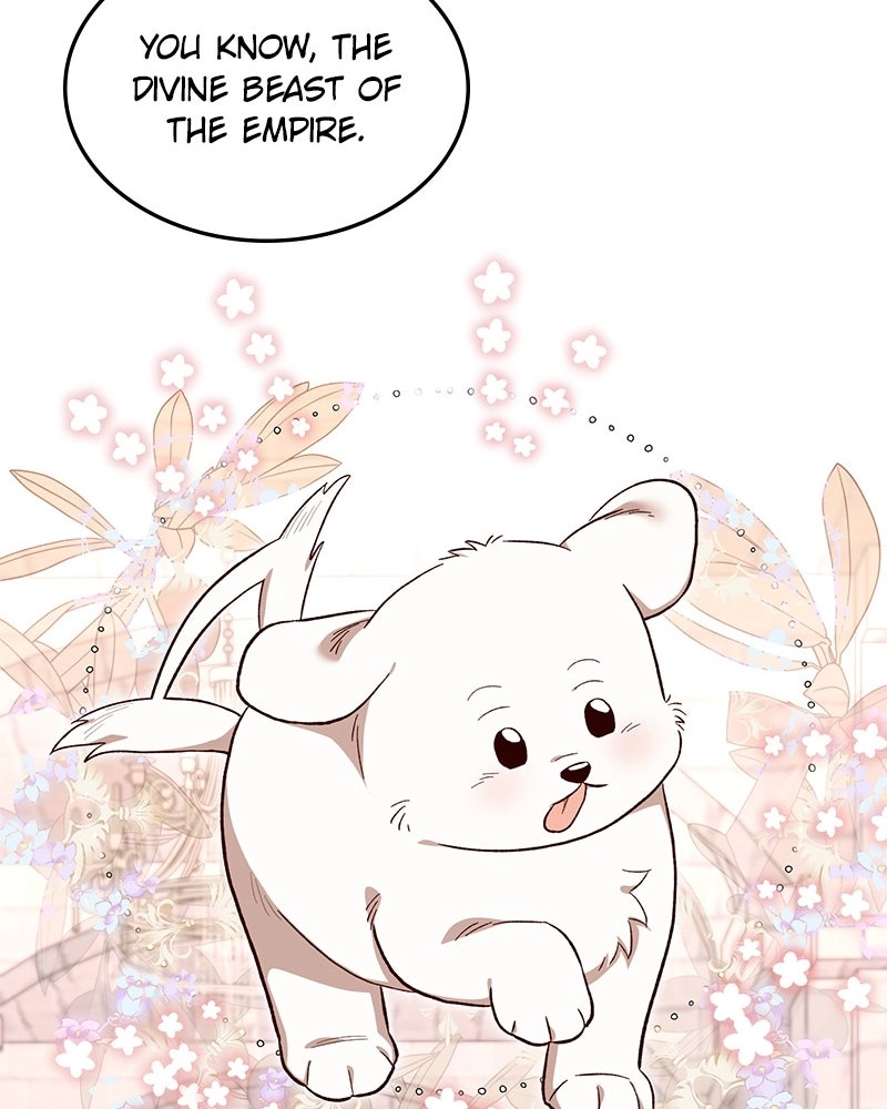 Read The Emperor