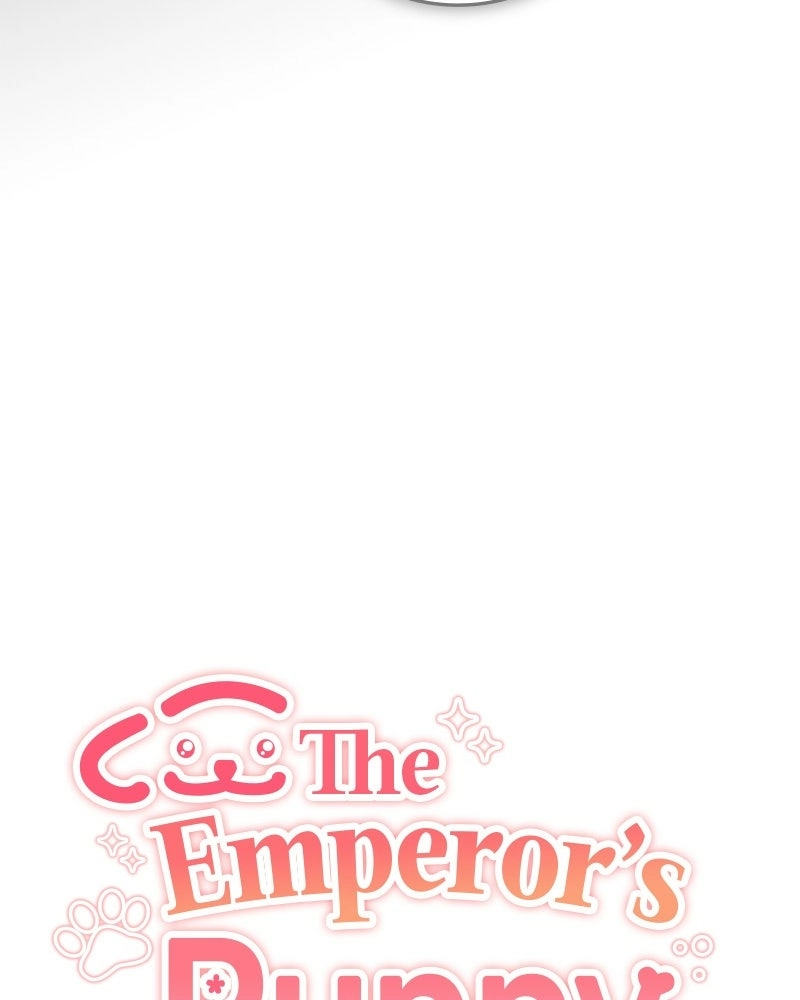 Read The Emperor