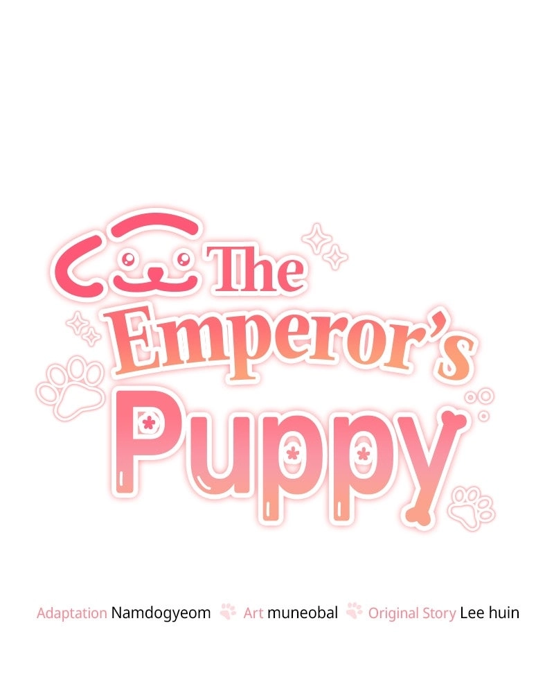 Read The Emperor