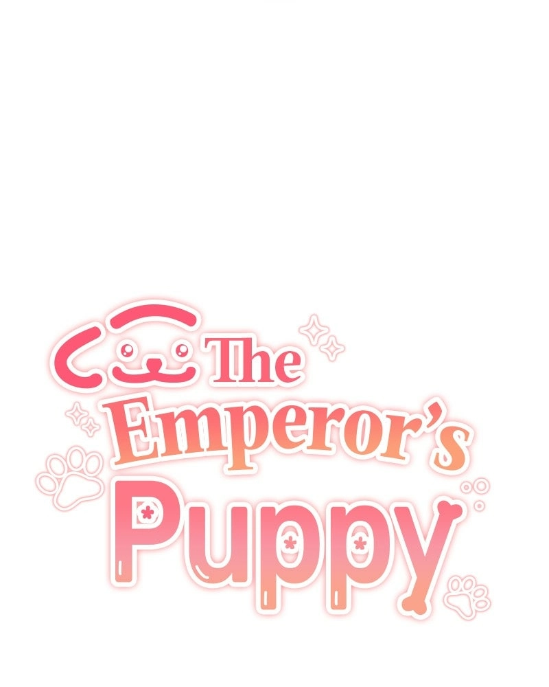 Read The Emperor