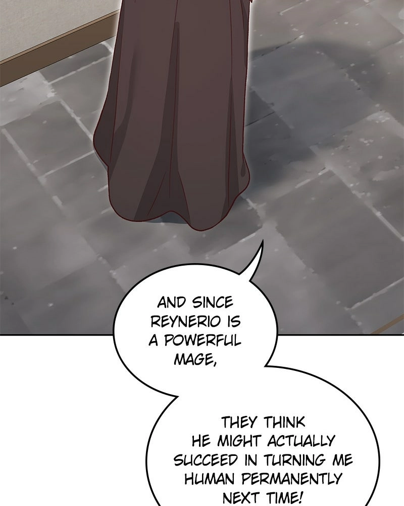 Read The Emperor