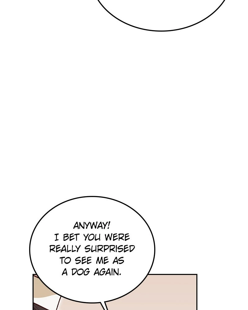 Read The Emperor