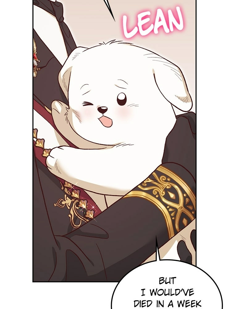 Read The Emperor