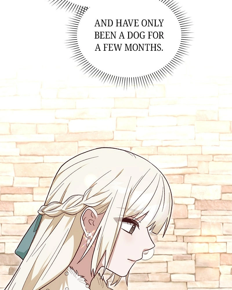 Read The Emperor