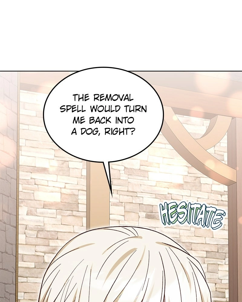 Read The Emperor