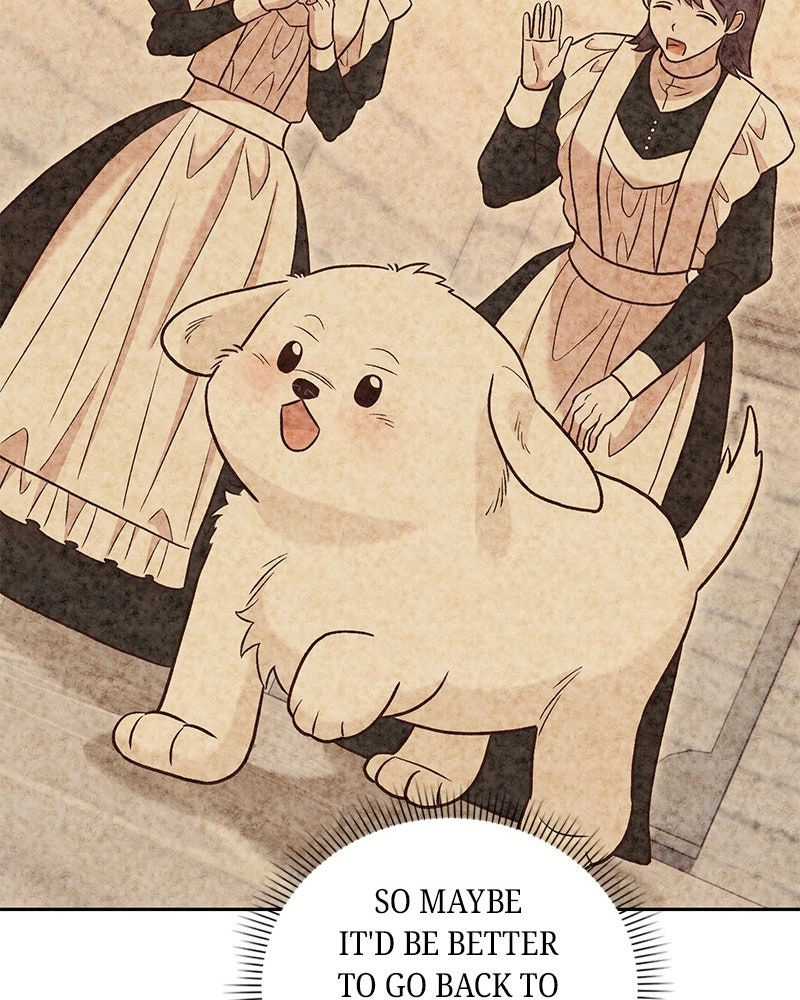 Read The Emperor