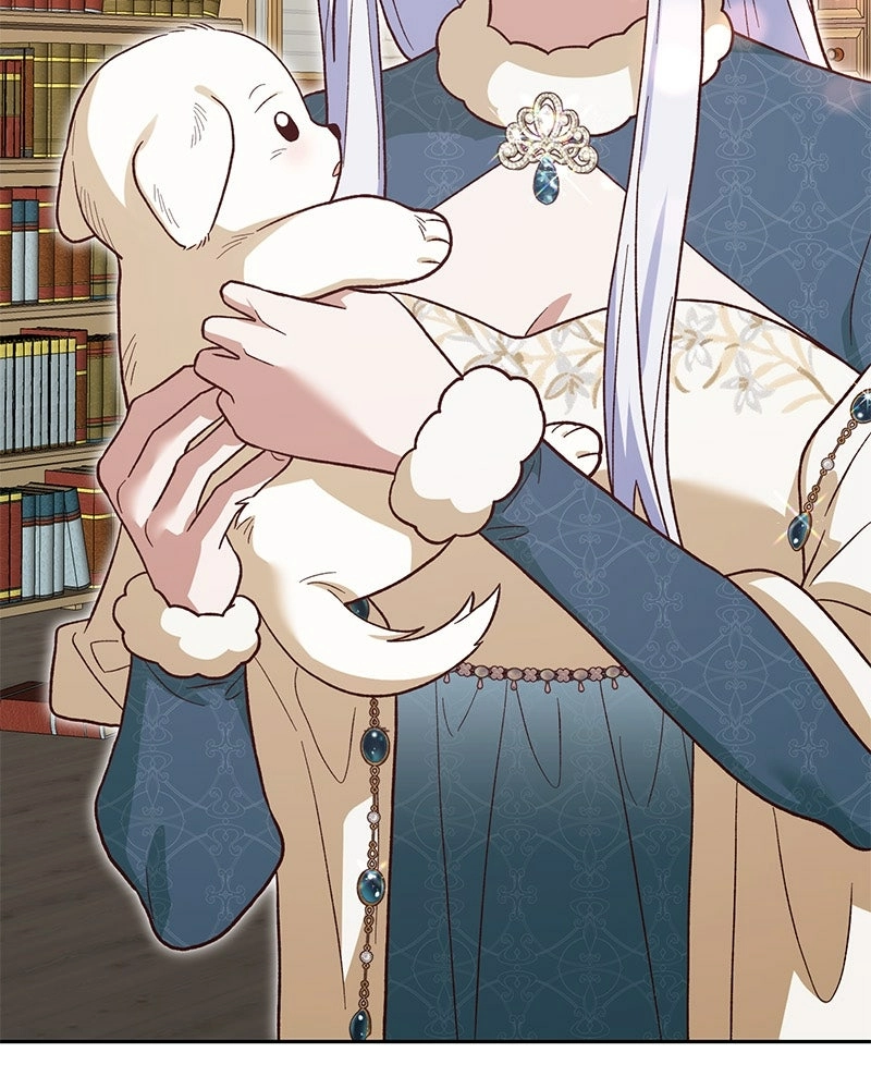 Read The Emperor