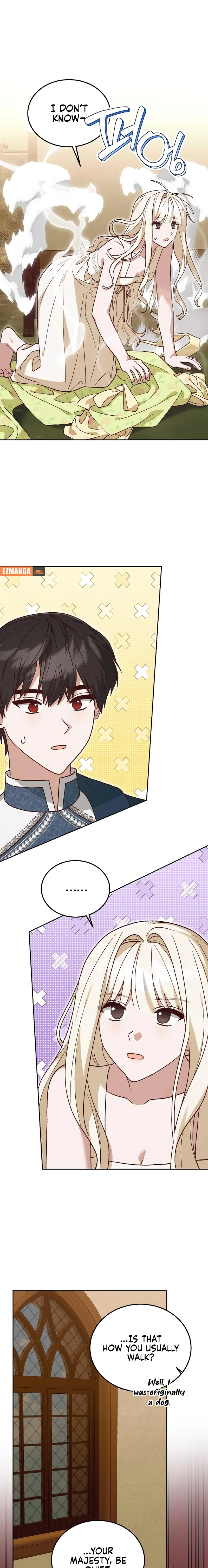 Read The Emperor