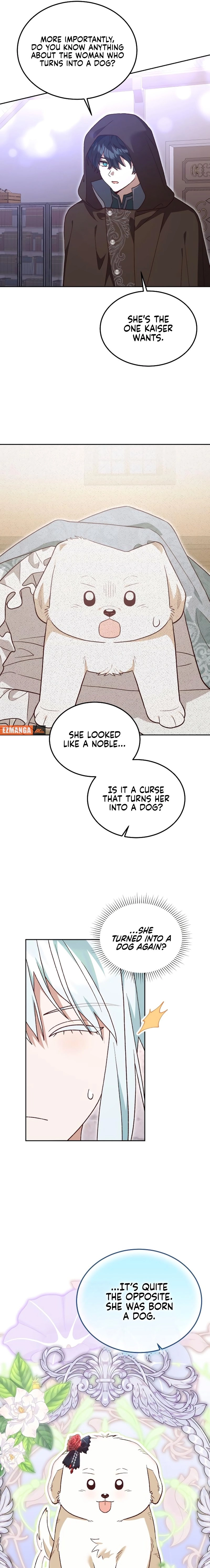Read The Emperor