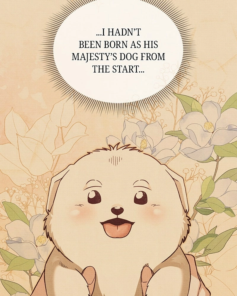Read The Emperor