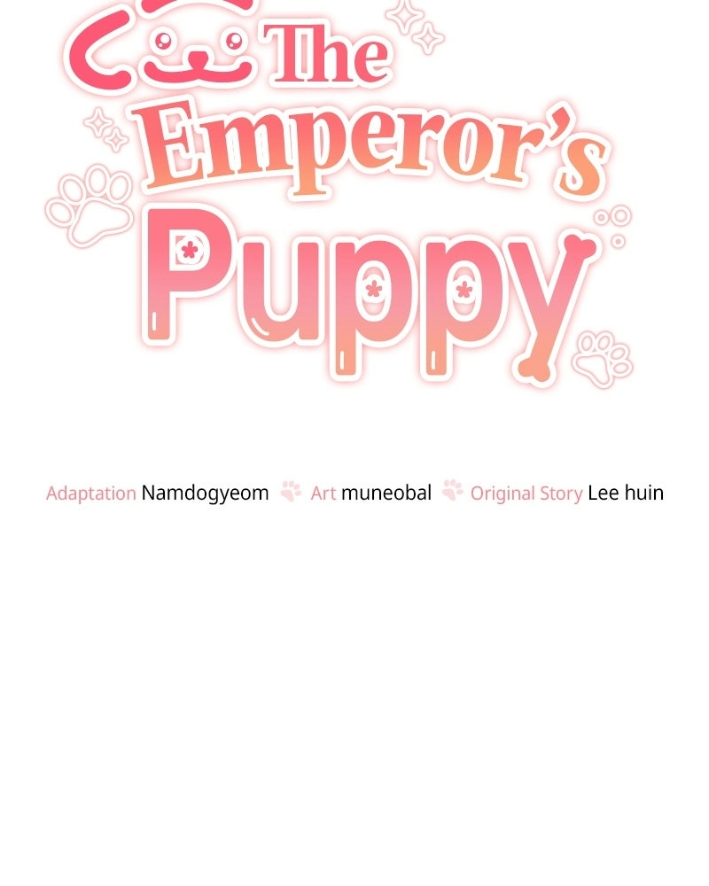 Read The Emperor