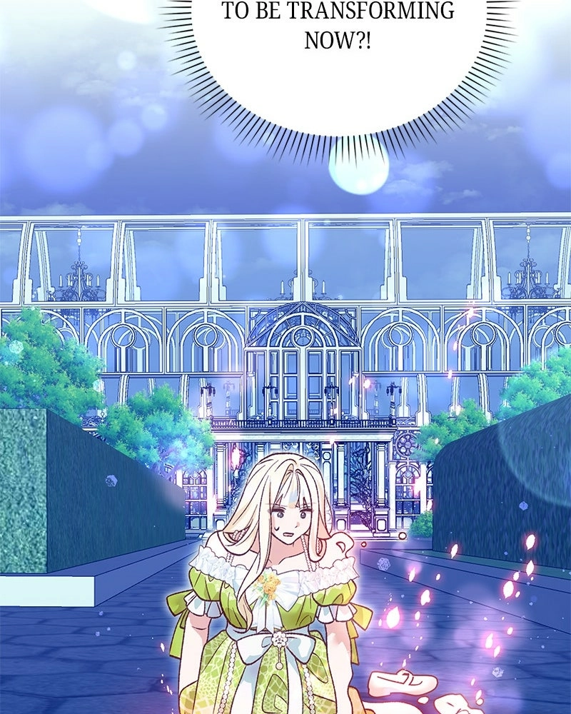 Read The Emperor