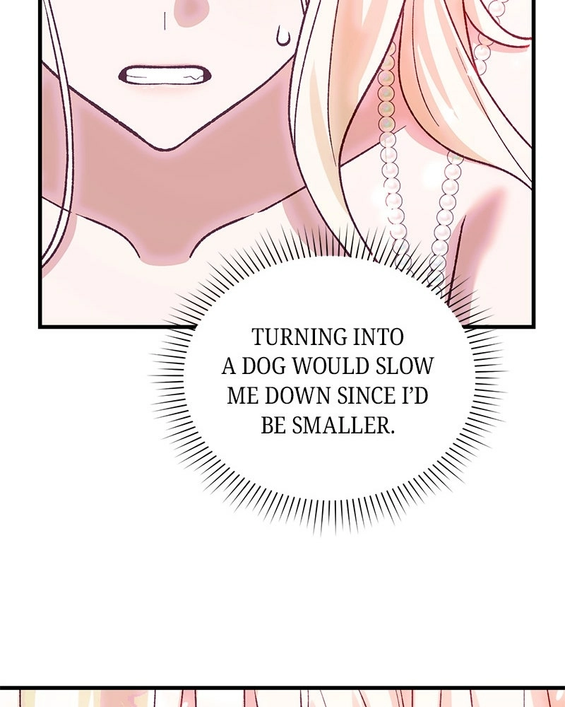 Read The Emperor