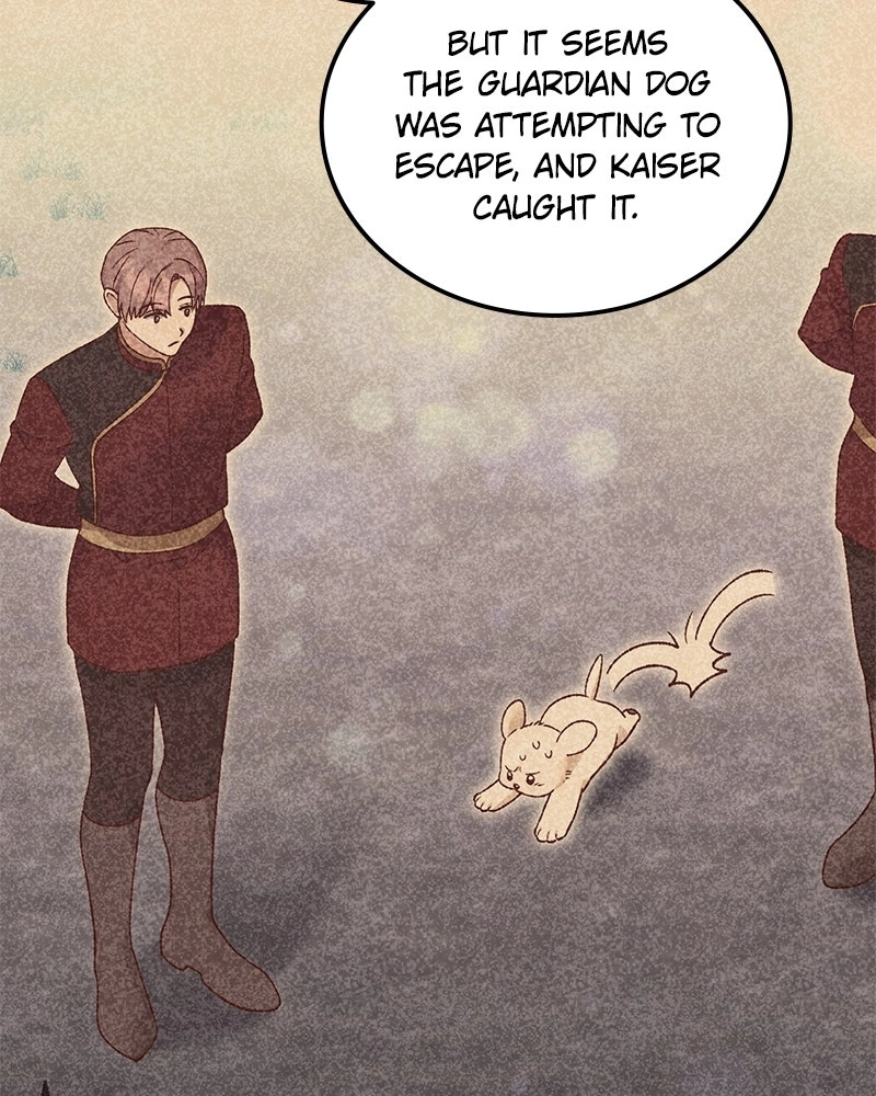 Read The Emperor