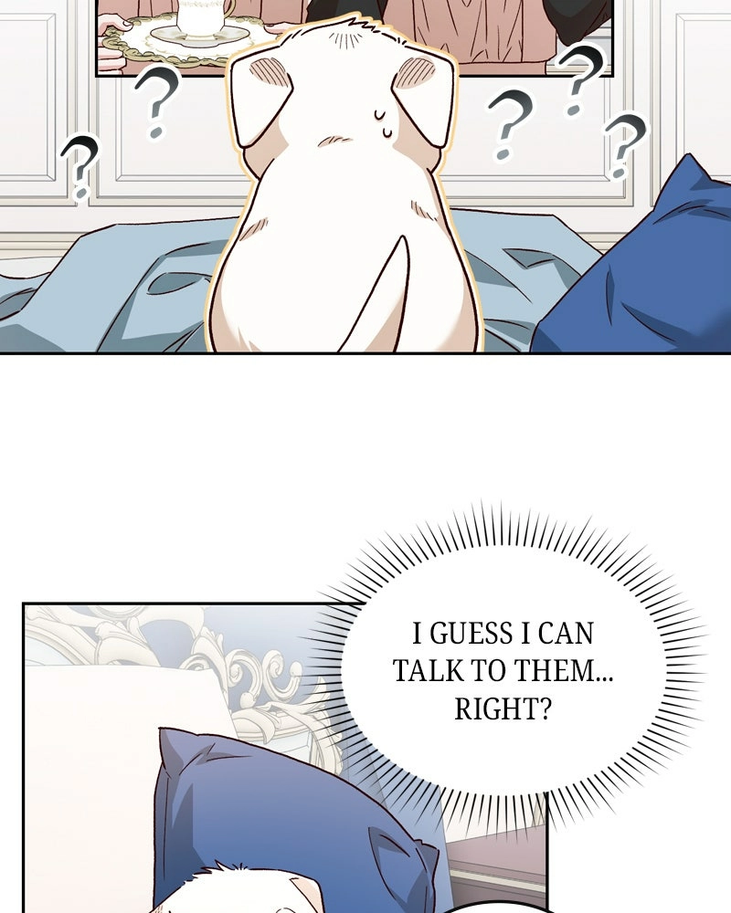 Read The Emperor