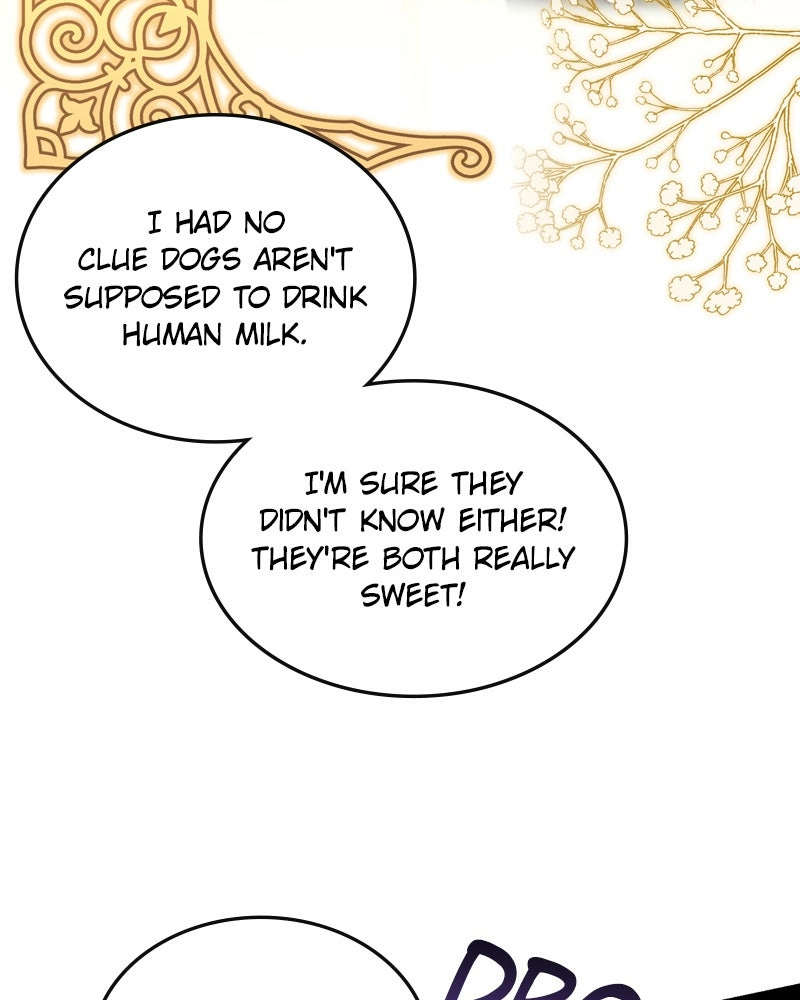 Read The Emperor