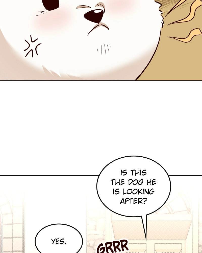 Read The Emperor
