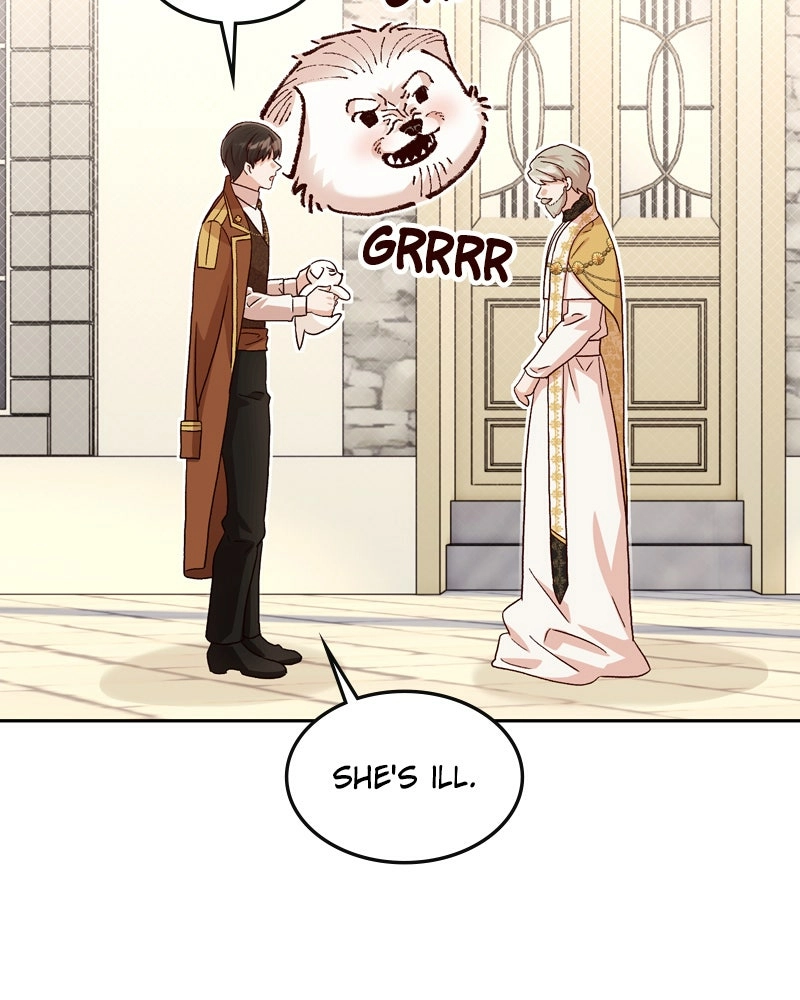 Read The Emperor