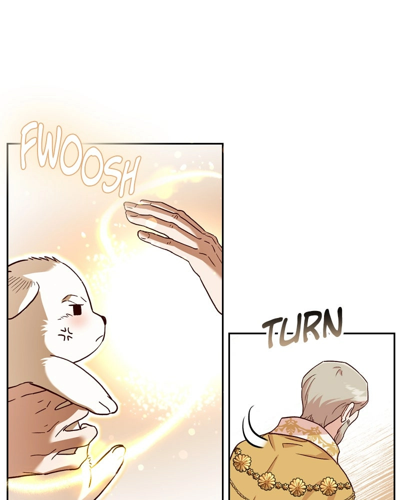 Read The Emperor