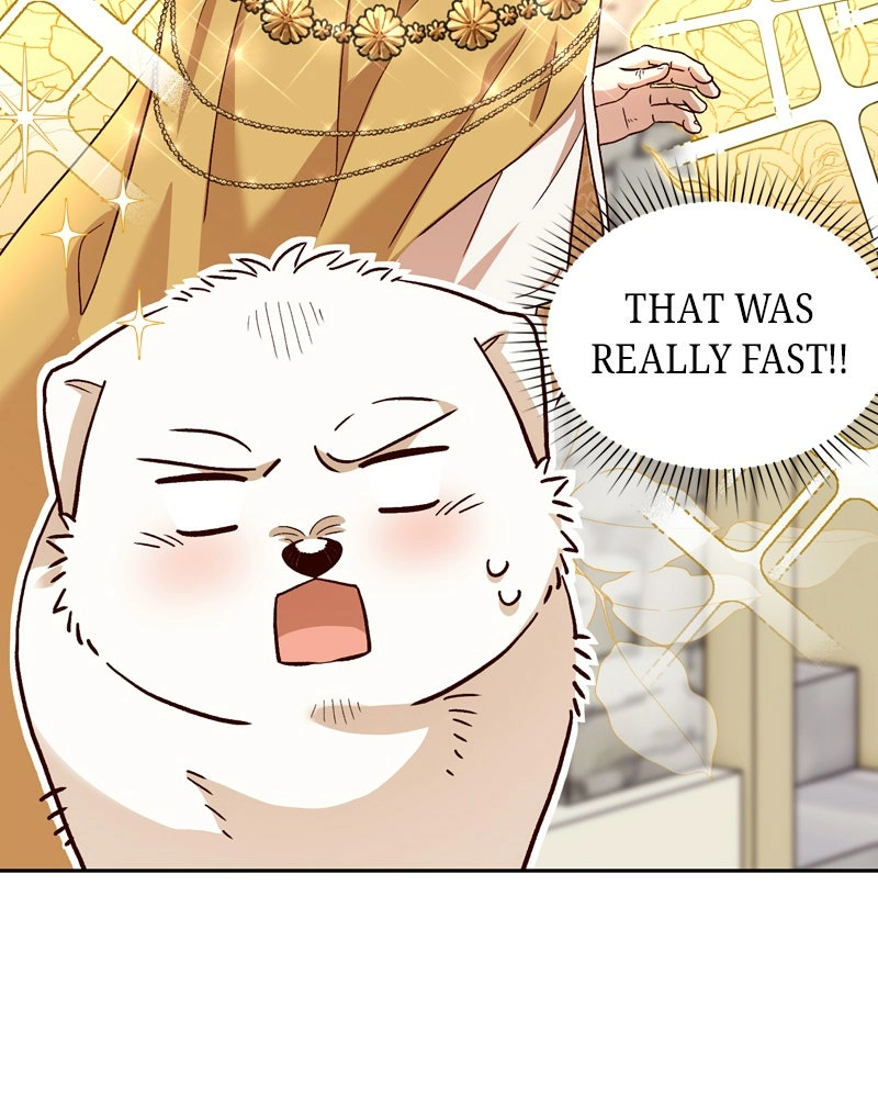 Read The Emperor