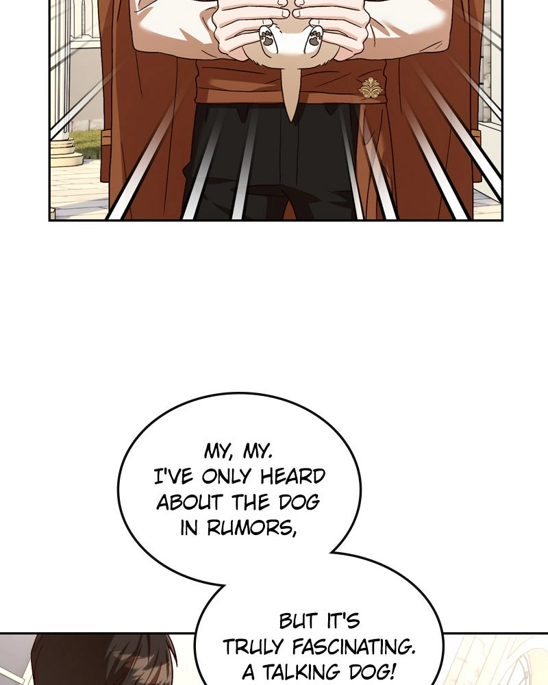 Read The Emperor