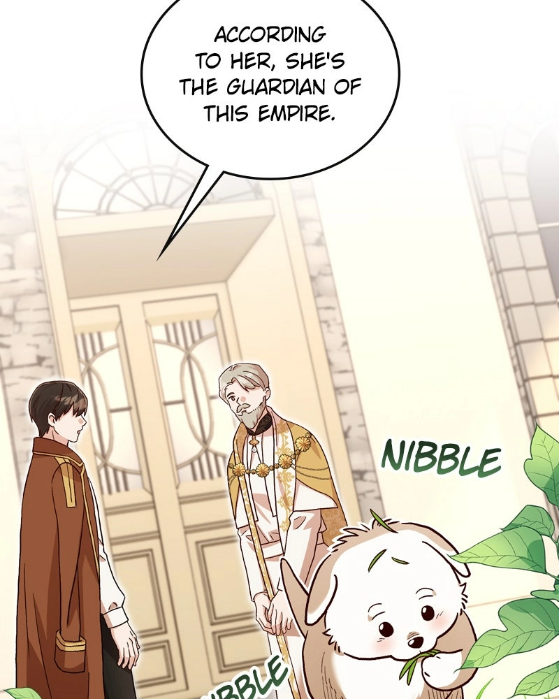 Read The Emperor