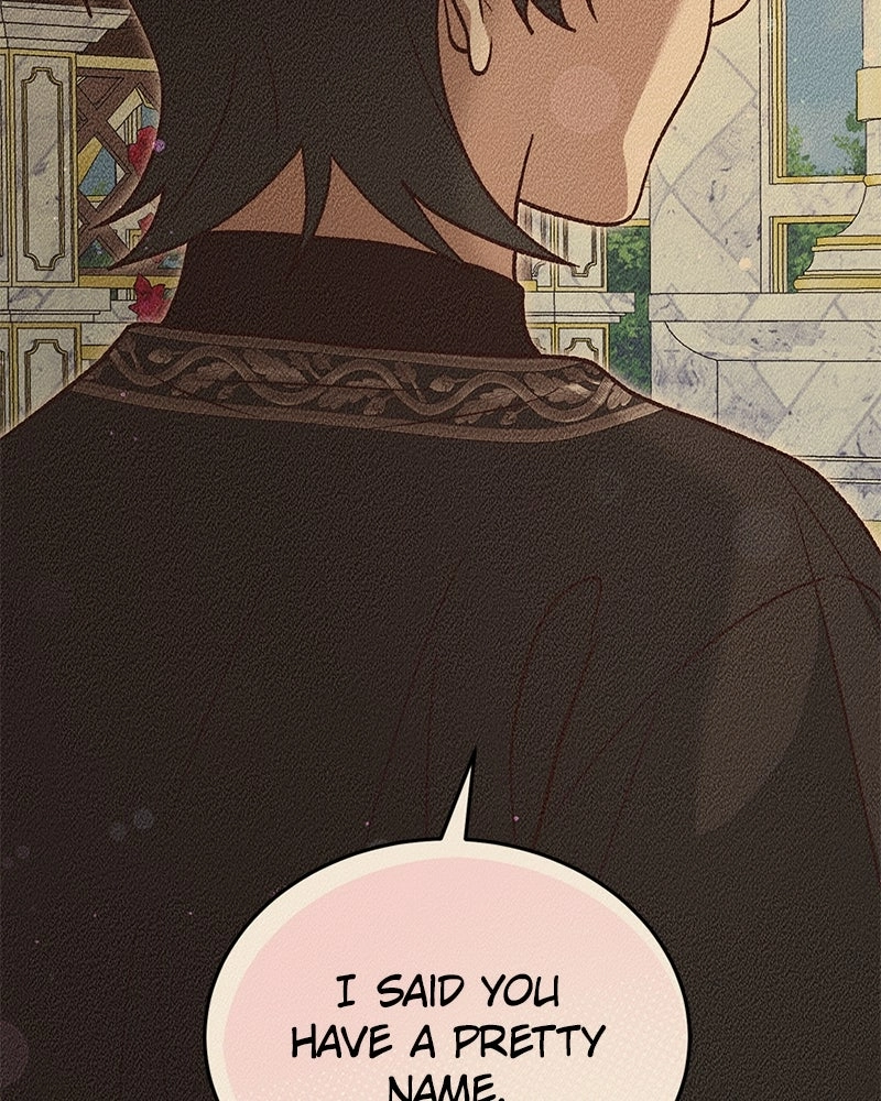 Read The Emperor