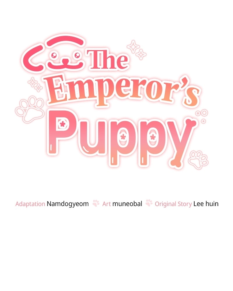 Read The Emperor