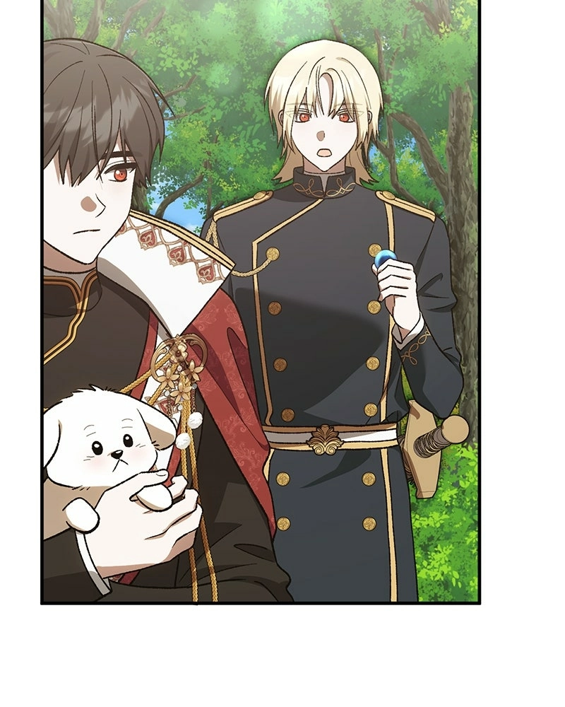 Read The Emperor