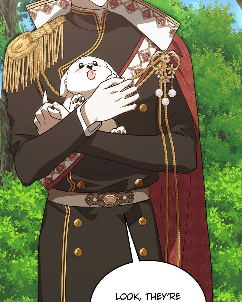 Read The Emperor
